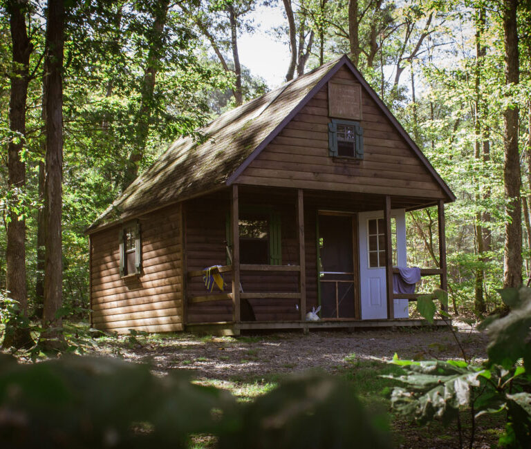 Tree House Tent