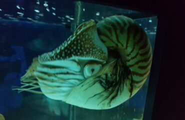 20180211-174941-largejpg