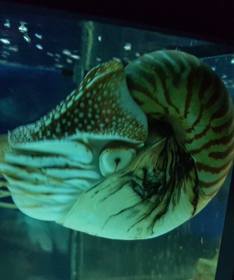 20180211-174941-largejpg