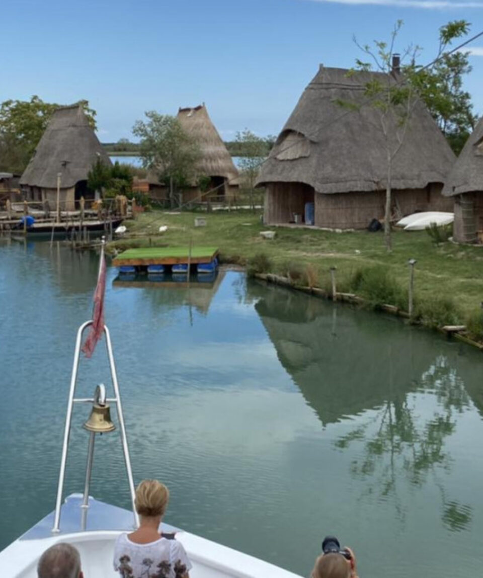 300751201_528105332436279_1054257265439554945_n-thumb