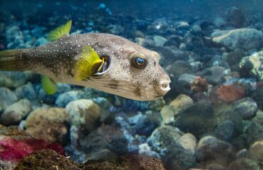 410701-Tropicarium-Park