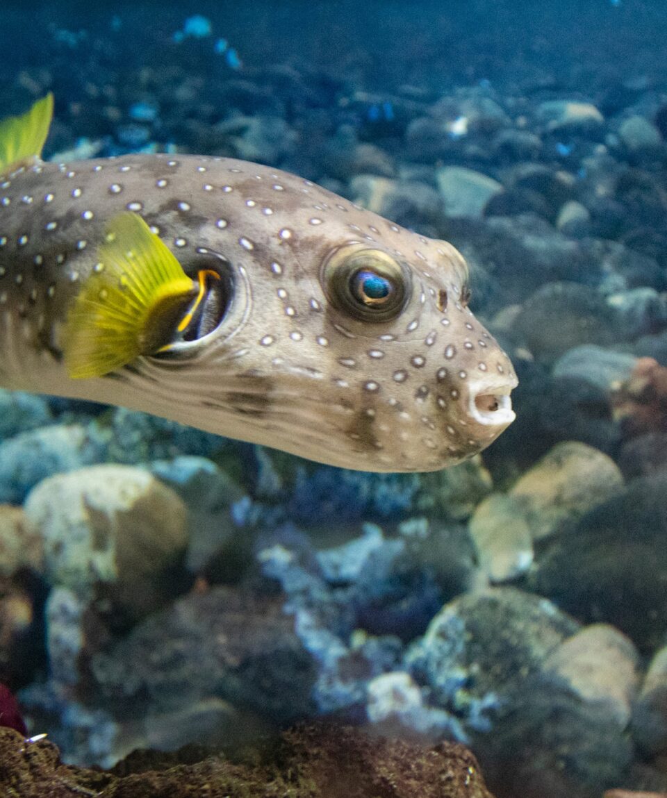 410701-Tropicarium-Park