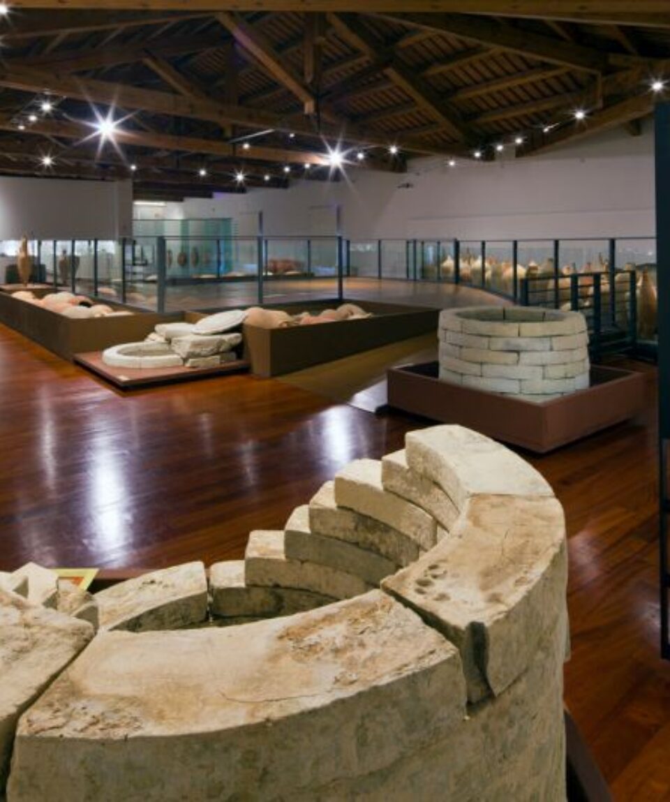 Museo-archeologico-primo-piano-sala-3