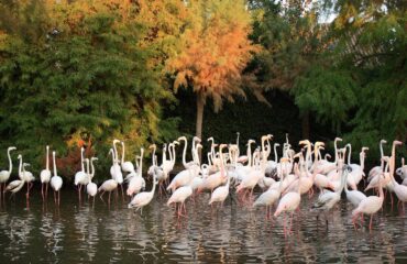 Parco_Zoo_3.width-1500