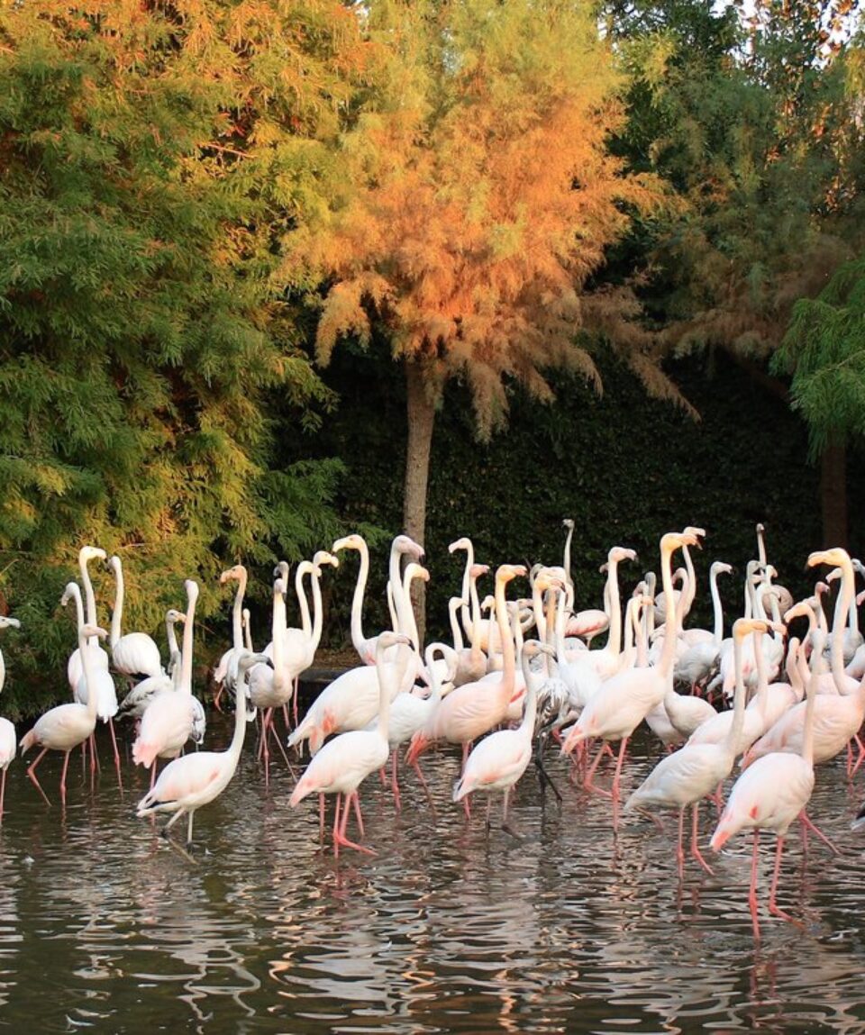 Parco_Zoo_3.width-1500