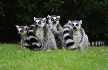 Z3_1_27AuT2P.width-1500