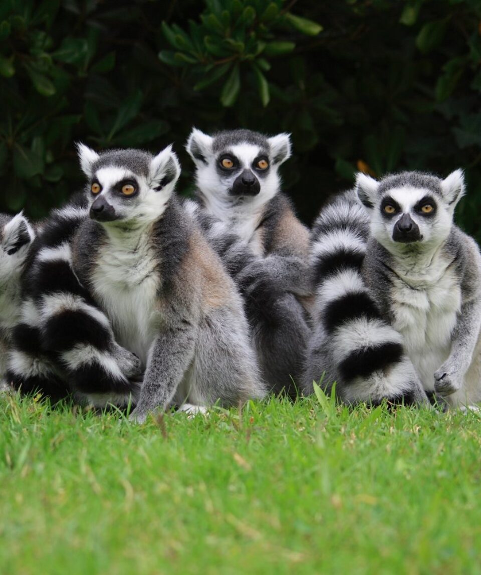 Z3_1_27AuT2P.width-1500