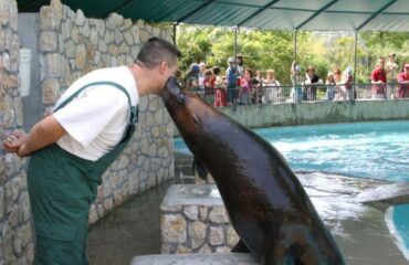 parco-zoo-punta-verde (1)