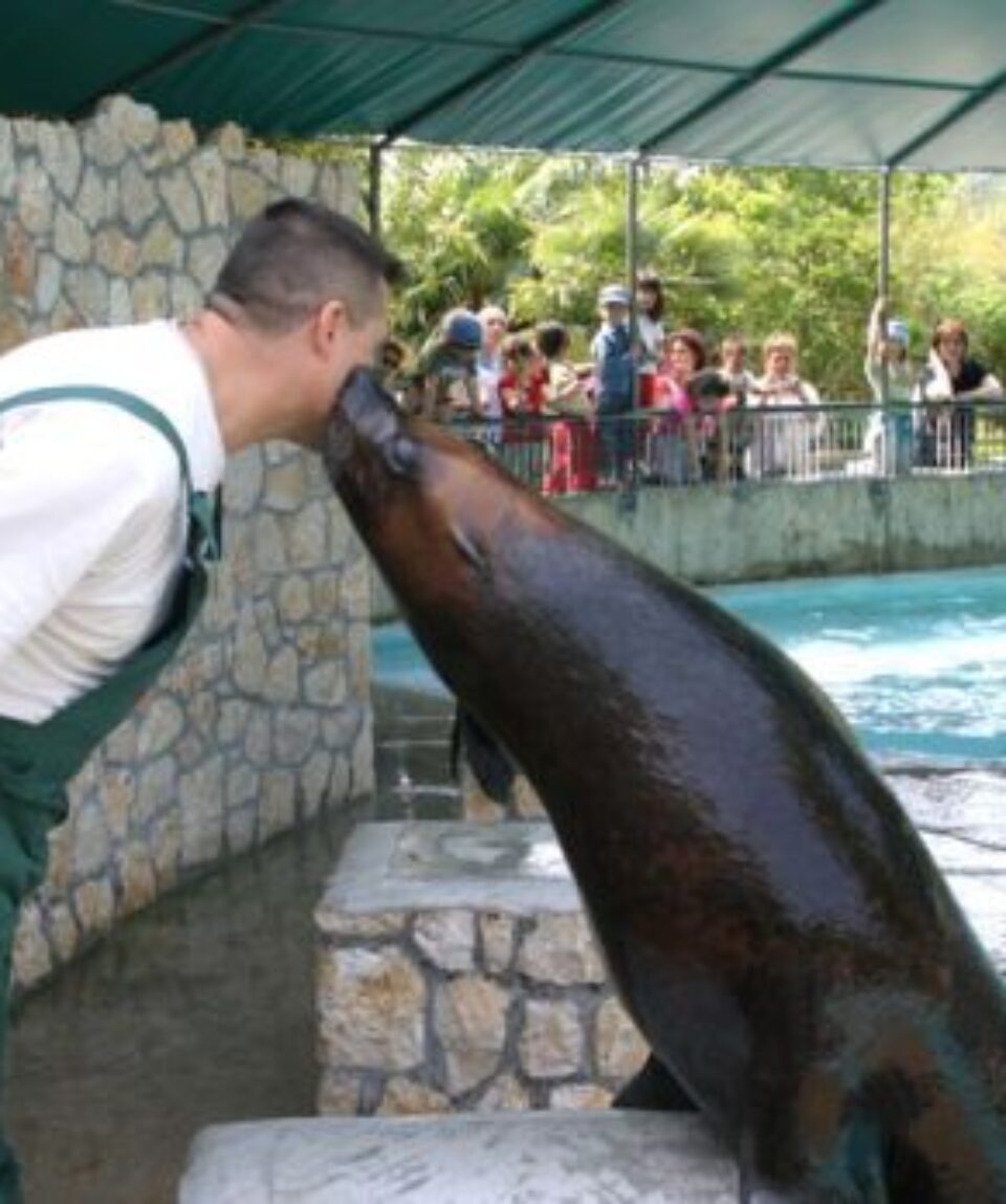 parco-zoo-punta-verde (1)